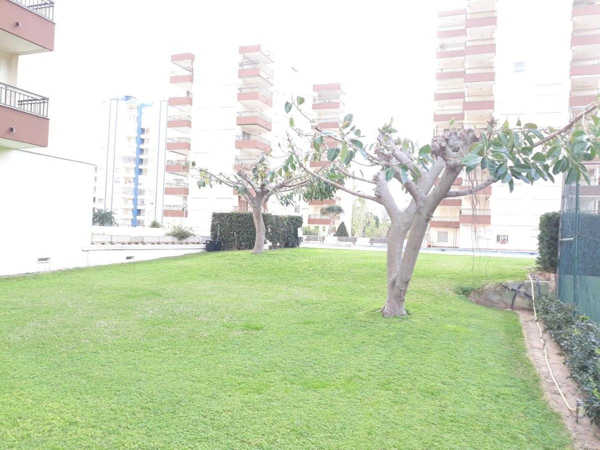 Valldigna 7 Playa De Gandia Solo Familias 外观 照片